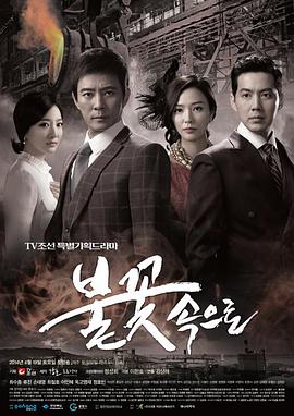 定西seo优化公司